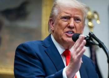 डोनाल्ड ट्रम्प भारतावर टीका